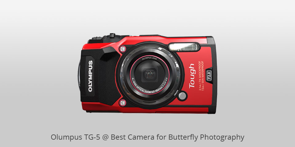 best camera for butterfly photography